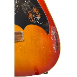 (BRUGT) Yamaha FG295S Black Label 